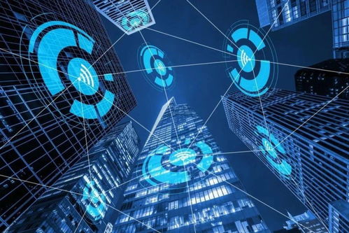 智網(wǎng)安云 東西湖企業(yè)守護(hù)中國(guó)西北網(wǎng)絡(luò)安全，引領(lǐng)網(wǎng)絡(luò)技術(shù)開(kāi)發(fā)創(chuàng)新